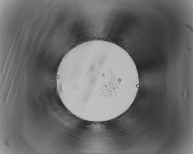 X0000103950464200809191215