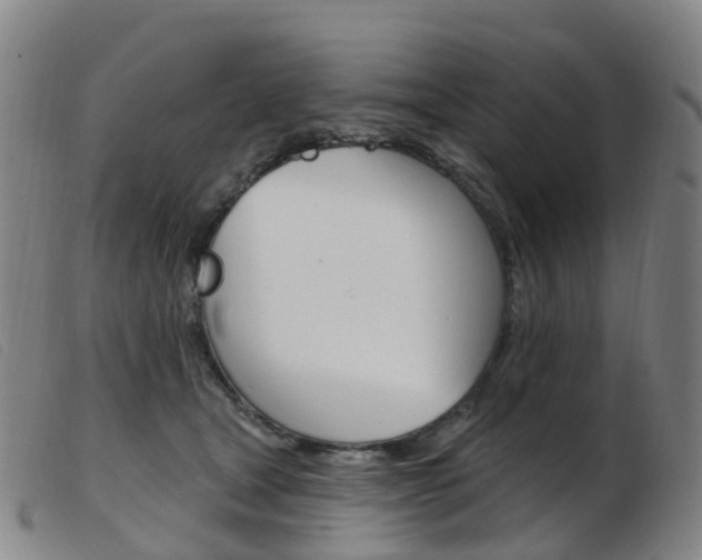 X0000103950465200809191215