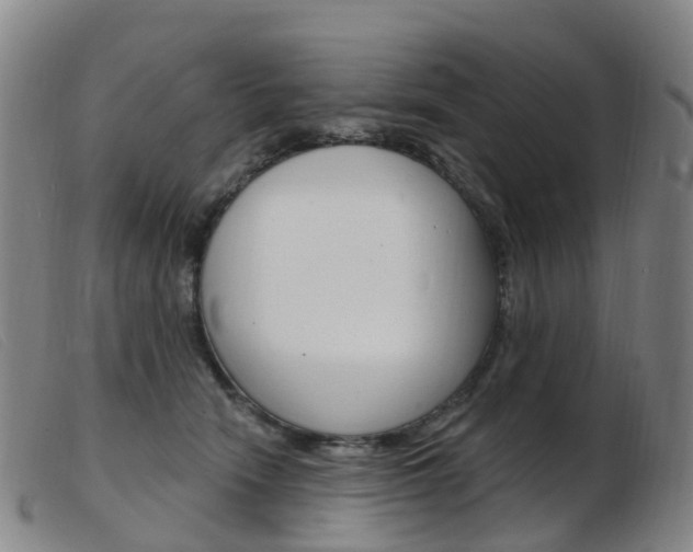 X0000103950466200809191215
