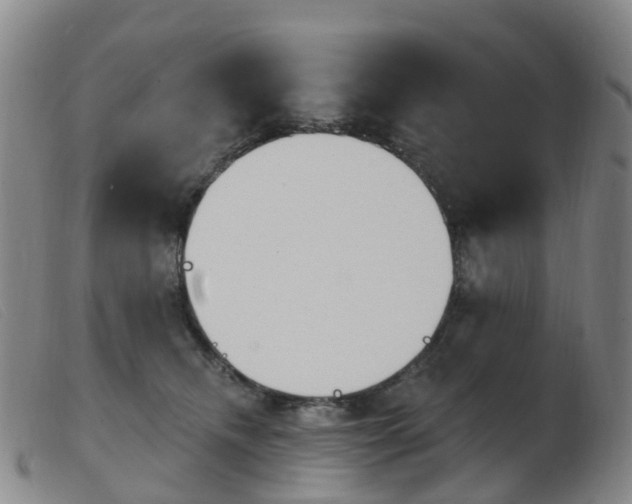 X0000103950468200809191215