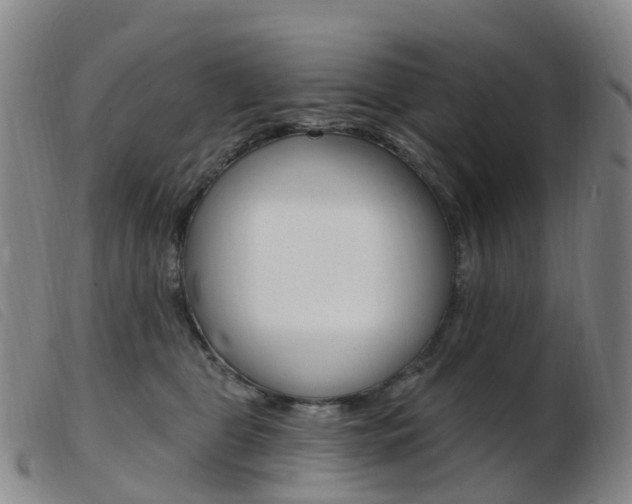X0000103950469200809191215