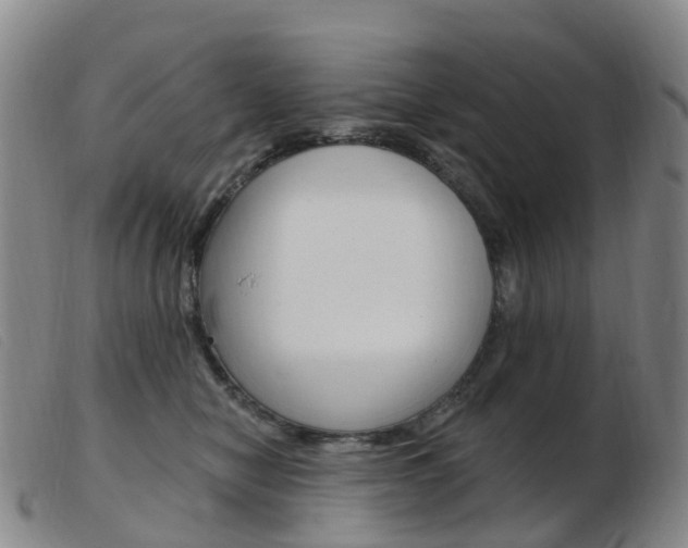 X0000103950470200809191215