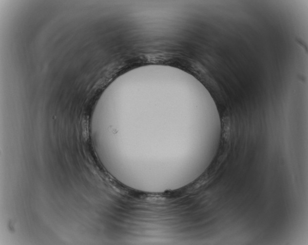 X0000103950471200809191215