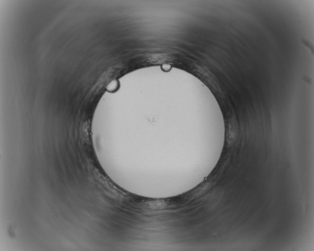 X0000103950473200809191215