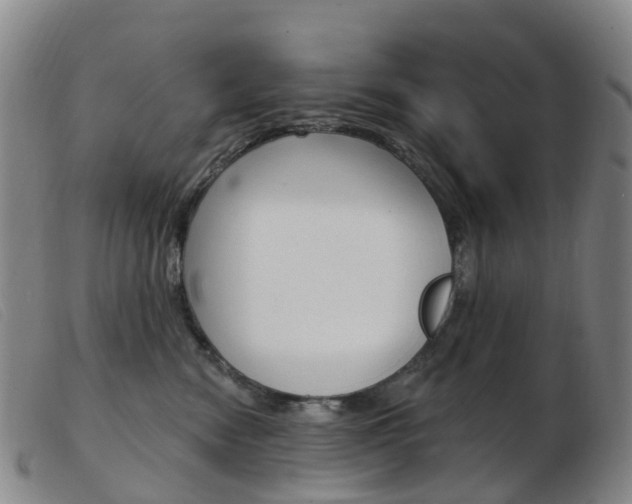 X0000103950474200809191215