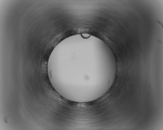 X0000103950475200809191215