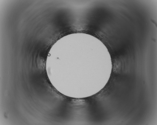 X0000103950476200809191215