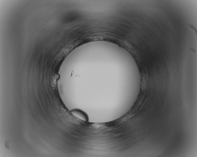 X0000103950477200809191215