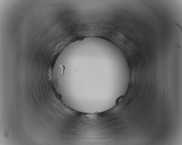 X0000103950478200809191215