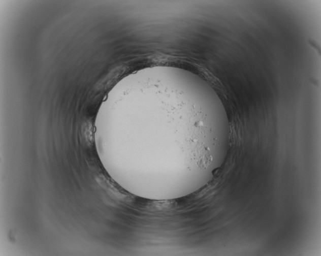 X0000103950479200809191215