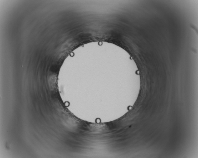 X0000103950480200809191215