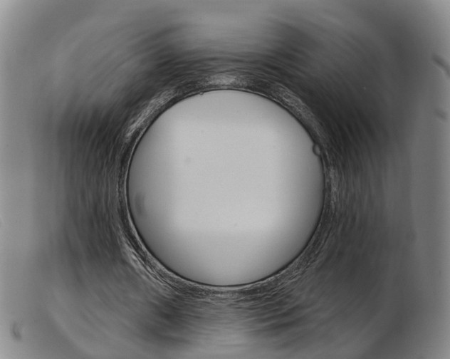 X0000103950482200809191214