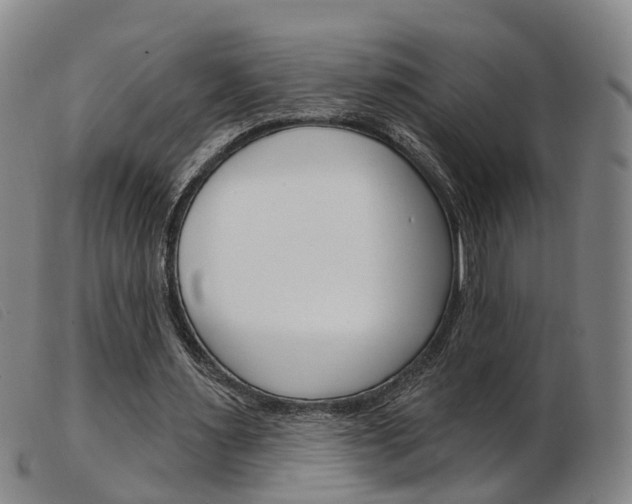 X0000103950483200809191214