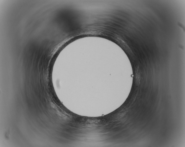 X0000103950484200809191214