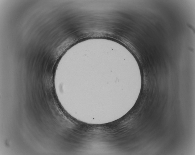 X0000103950485200809191214