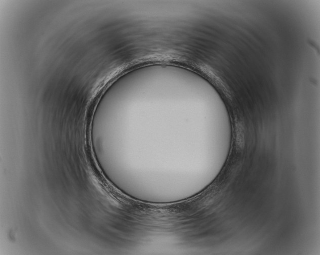 X0000103950486200809191214