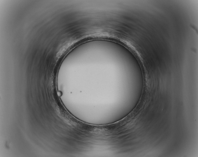 X0000103950487200809191214