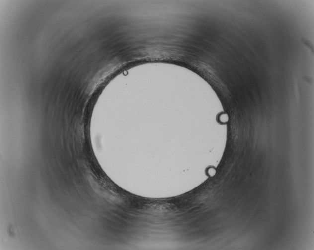 X0000103950488200809191214