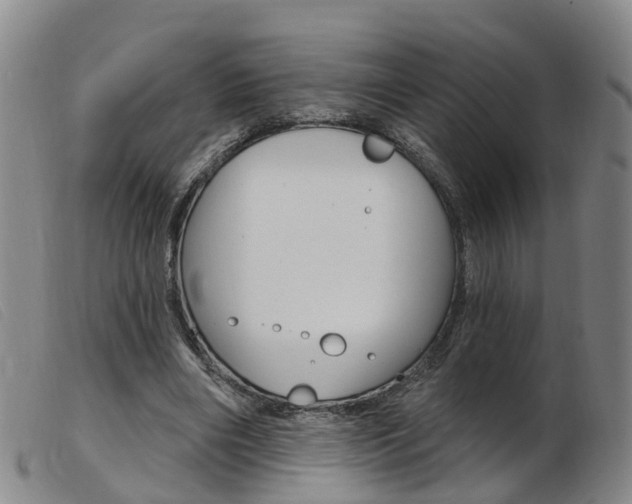 X0000103950490200809191214