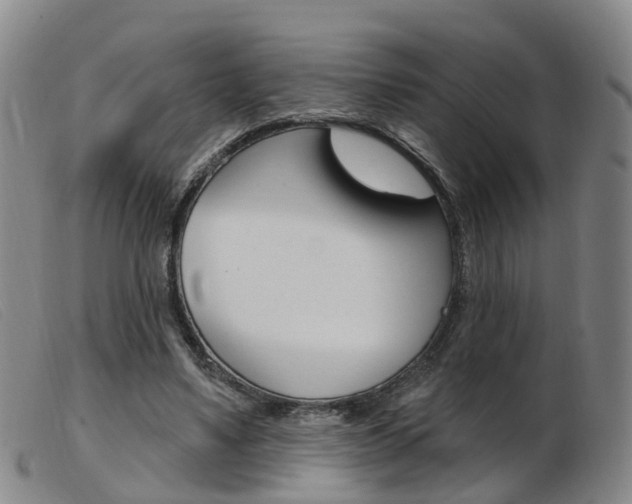 X0000103950491200809191214