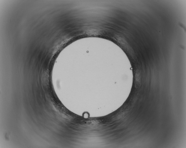 X0000103950492200809191214