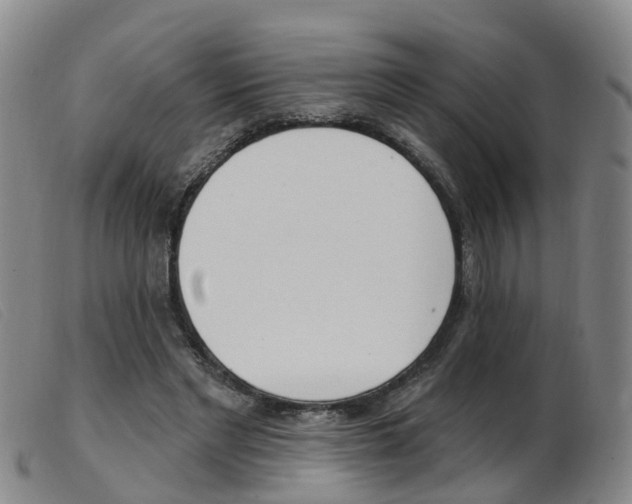 X0000103950493200809191214