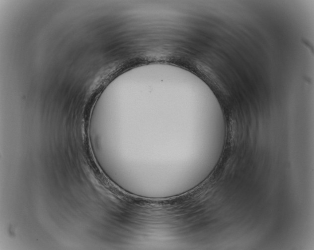 X0000103950494200809191214