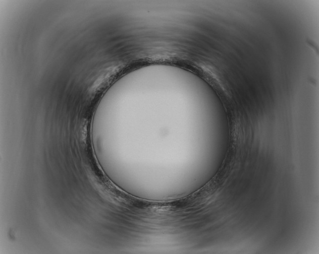 X0000103950495200809191214