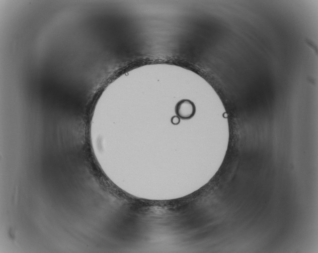 X0000103950496200809191214