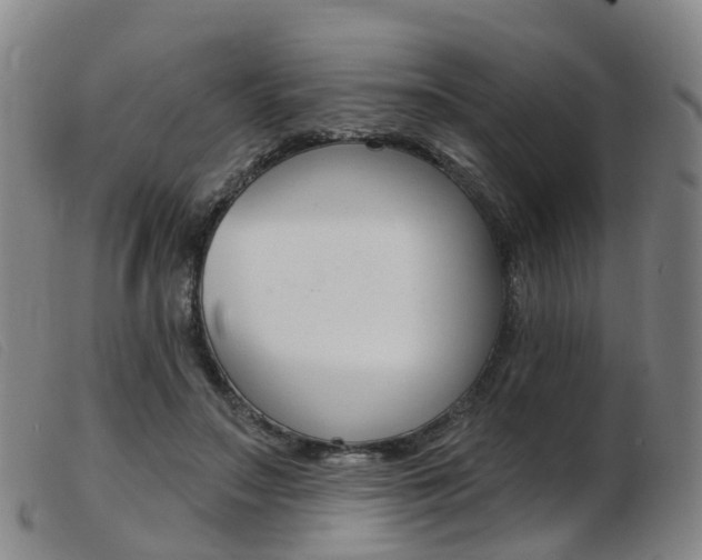 X0000103950499200809191214