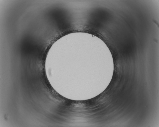 X0000103950500200809191214