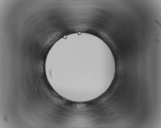 X0000103950501200809191214