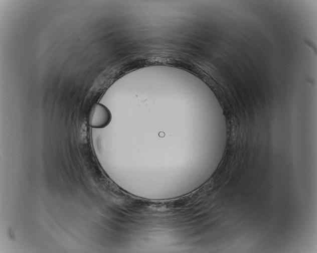 X0000103950502200809191214