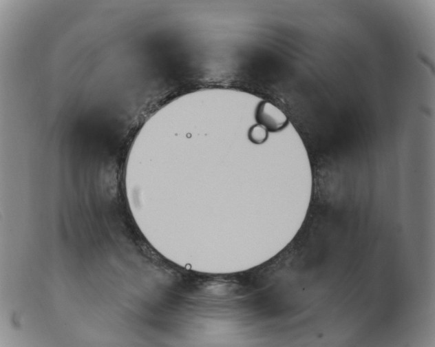 X0000103950504200809191214