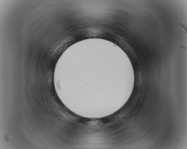 X0000103950505200809191214