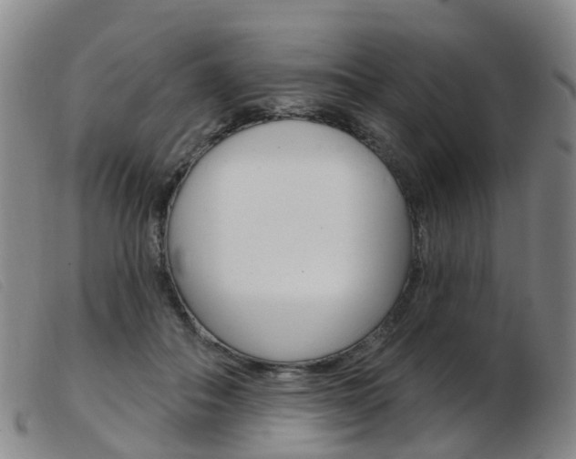 X0000103950506200809191214