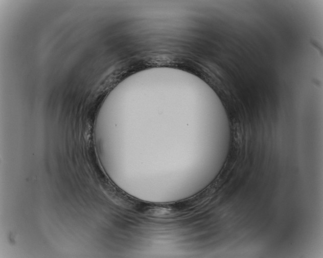 X0000103950507200809191214