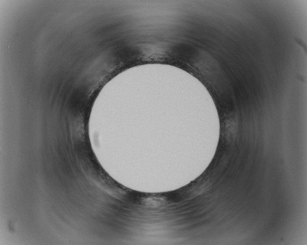 X0000103950508200809191214