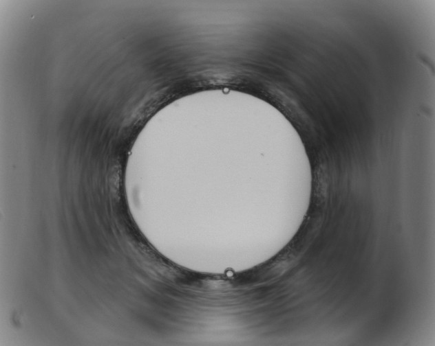 X0000103950509200809191214