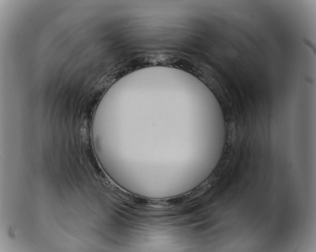 X0000103950510200809191214
