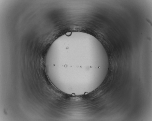 X0000103950511200809191214