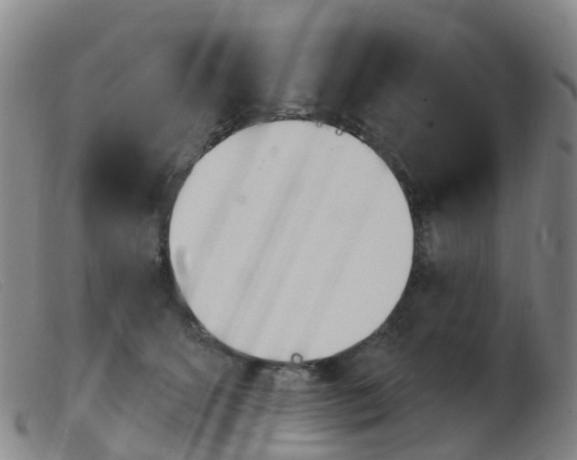X0000103950512200809191214
