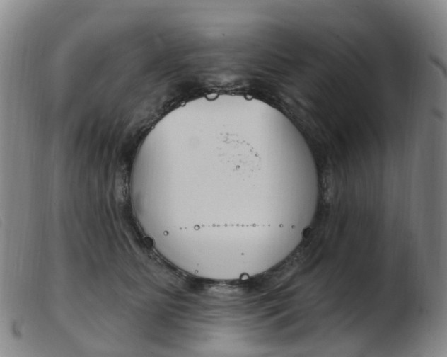 X0000103950515200809191214