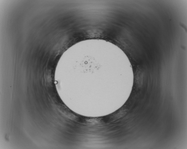 X0000103950516200809191214