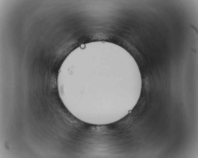 X0000103950517200809191214