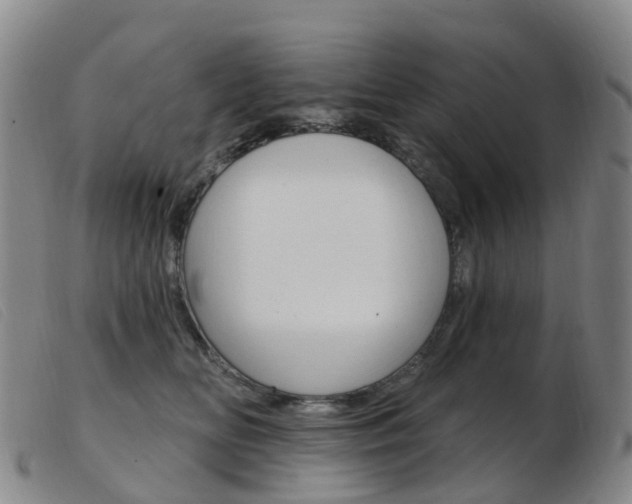 X0000103950518200809191214