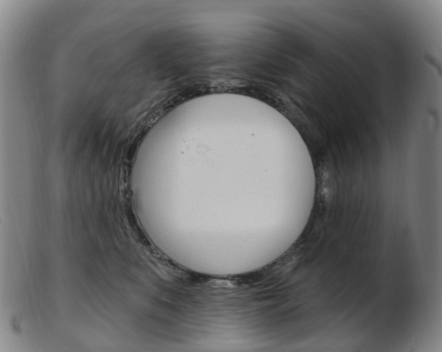 X0000103950519200809191214