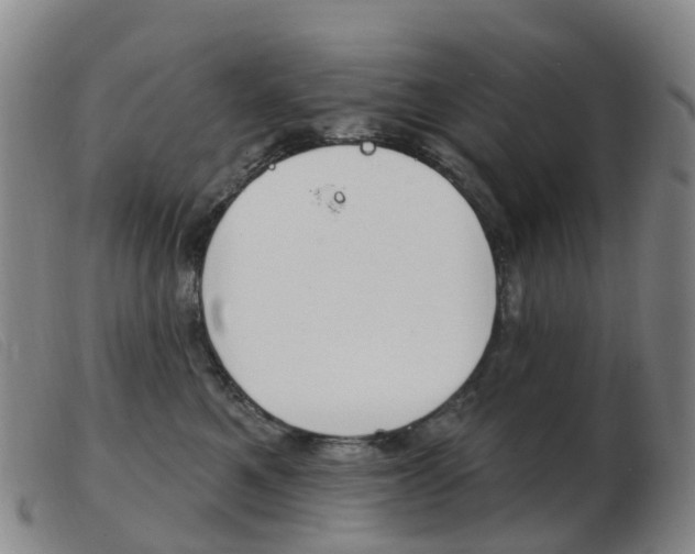 X0000103950521200809191214