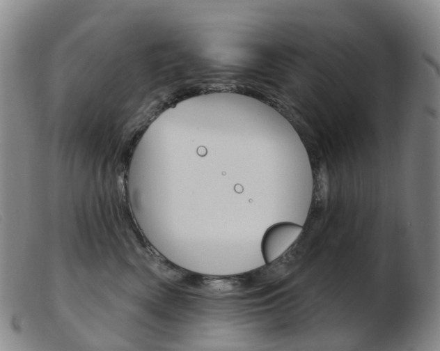 X0000103950522200809191214