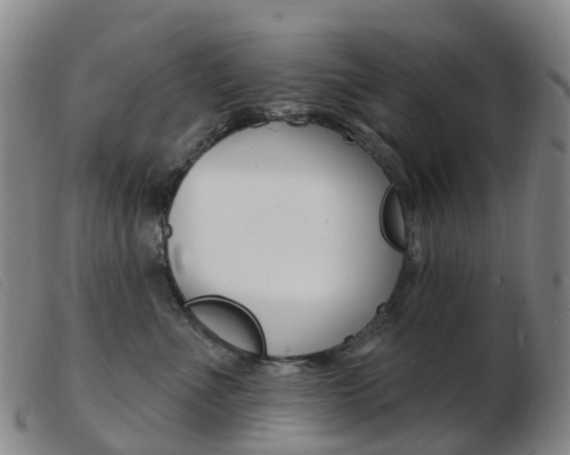 X0000103950523200809191214